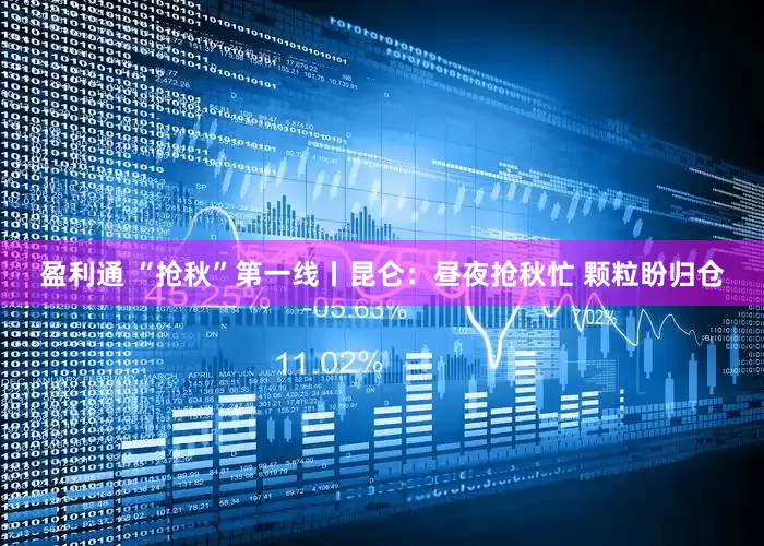 盈利通 “抢秋”第一线丨昆仑：昼夜抢秋忙 颗粒盼归仓